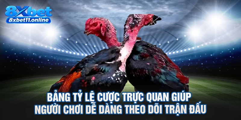 Bảng tỷ lệ cược trực quan giúp người chơi dễ dàng theo dõi trận đấu
