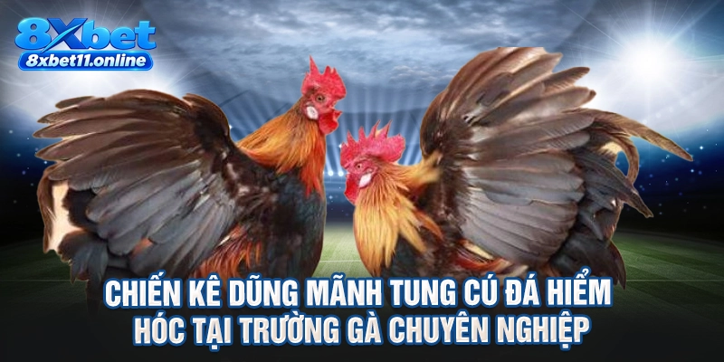Chiến kê dũng mãnh tung cú đá hiểm hóc tại trường gà chuyên nghiệp